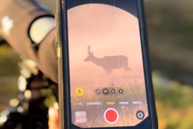 2 Day Yellowstone Safari Upper and Lower Loop Bozeman - Who Is This Tour Best For?