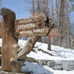 2 Days Private Tour to Sequoia and Kings Canyon Parks from LA - Who Will Love This Tour?