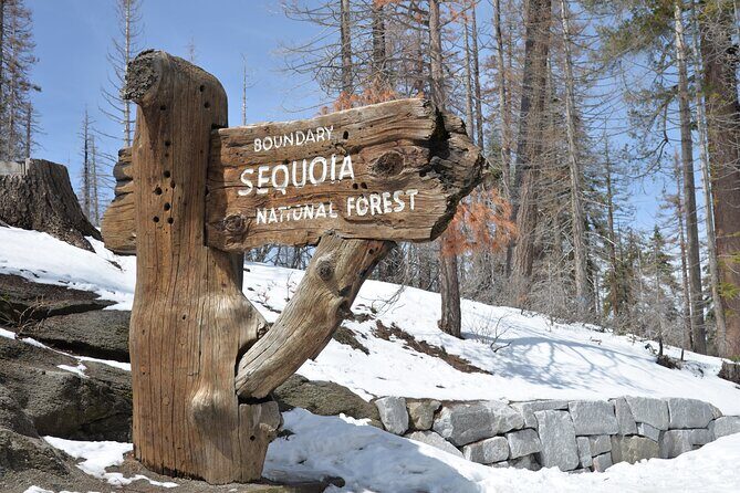 2 Days Private Tour to Sequoia and Kings Canyon Parks from LA - Who Will Love This Tour?