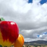 2 Days Queenstown Wanaka Private Tours from Dunedin - Authentic Experiences & Traveler Insights