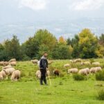 2 Days Tour in Transylvania from Bucharest - Who Will Love This Tour?