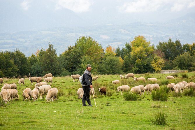 2 Days Tour in Transylvania from Bucharest - Who Will Love This Tour?