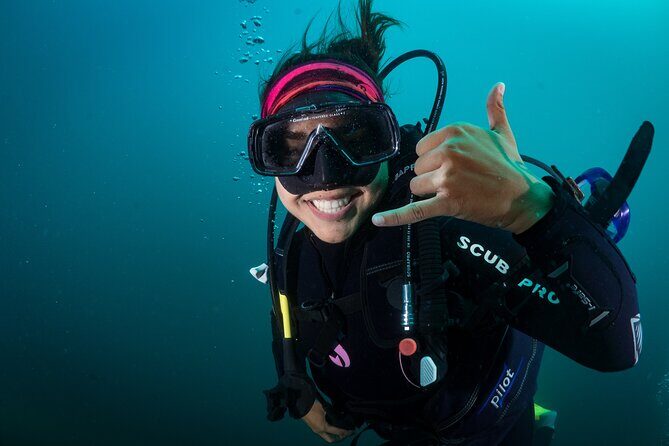 2 Dives in the Cabo Marine Park - A Closer Look at the Experience