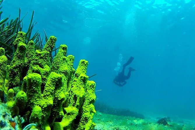 2 Dives Package - The Sum Up