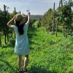 2 Guests Private Prosecco Road Tour All Inclusive from Venice - Who Will This Tour Suit?