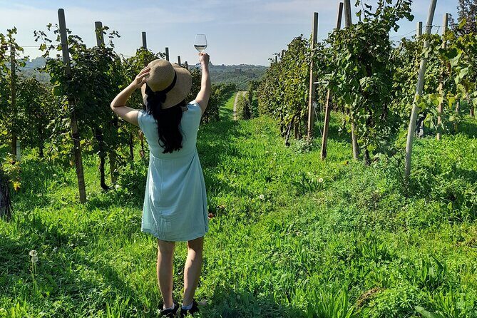 2 Guests Private Prosecco Road Tour All Inclusive from Venice - Who Will This Tour Suit?