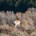 2-Hour, 4-seat ATV Rental next to Bryce National Park - FAQ