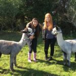 2-Hour Alpaca Farm Experience in Kenilworth - Practical Details and What to Expect