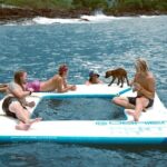 2 Hour Big Island Dolphin Watching and Sea Turtle Snorkel Tour - A Closer Look at the 2-Hour Big Island Dolphin & Turtle Tour