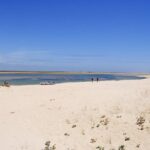 2-hour Bird Watching Guided Boat Trip in Ria Formosa from Faro Algarve - Frequently Asked Questions