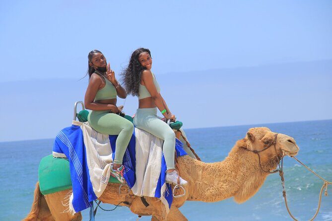 2-Hour Camel Ride Beach and Desert Adventure Experience - Final Thoughts: Is This Tour Worth It?