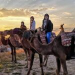 2 hour Camel ride in Cappadocia - Final Thoughts: Who Will Love This Experience?