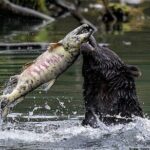 2 Hour Custom Wildlife and Historical Tour - The Experience and Its Value