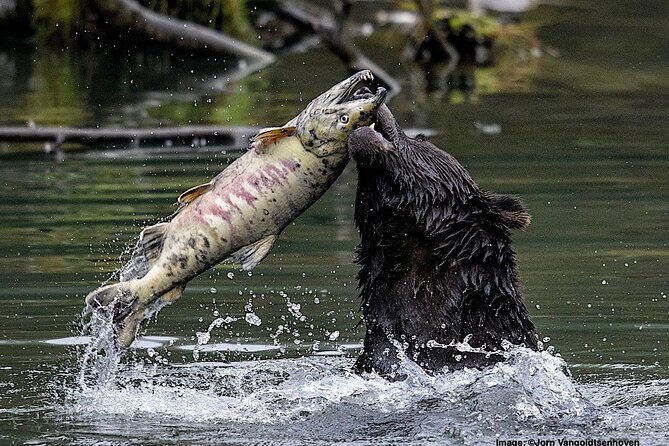 2 Hour Custom Wildlife and Historical Tour - The Experience and Its Value