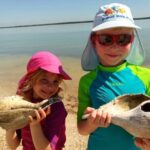 2 Hour Dolphin, Birding and Shelling Tour - An In-Depth Look at the Experience