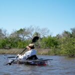 2-Hour Glass Bottom Guided Eco Tour in Flagler County-Small-group - A Closer Look at the Eco Tour Experience