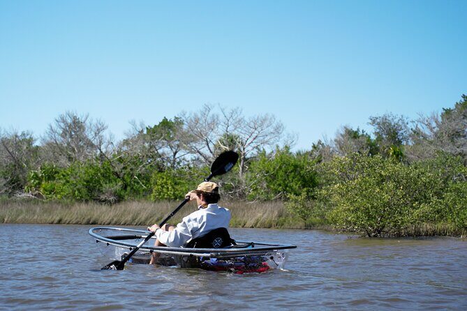 2-Hour Glass Bottom Guided Eco Tour in Flagler County-Small-group - A Closer Look at the Eco Tour Experience
