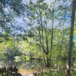 2 Hour Guided Clear Glass Bottom Kayak Tour Gilchrist Blue Spring - The Experience from Start to Finish