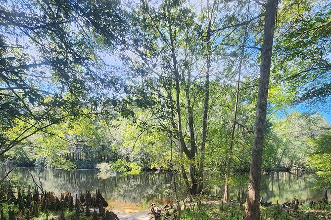 2 Hour Guided Clear Glass Bottom Kayak Tour Gilchrist Blue Spring - The Experience from Start to Finish