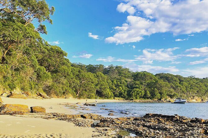 2-Hour Guided Walking Tour in Sydney Harbour National Park - Why This Tour is a Great Pick