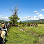 2-hour horse riding tour at Palomino Ranch Near Tbilisi - Discovering Georgia’s Countryside: A Deep Dive into Palomino Ranch’s Horseback Experience