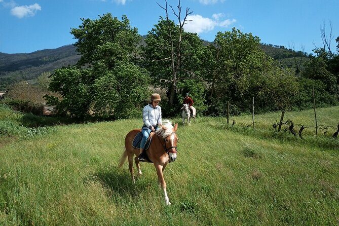 2 hour horseback ride for experts in Valgraziosa (Pisa) - Final Thoughts: Is It Worth It?