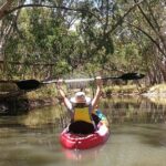 2-Hour Kayaking Experience in Barossa Valley - Who Should Consider This Tour