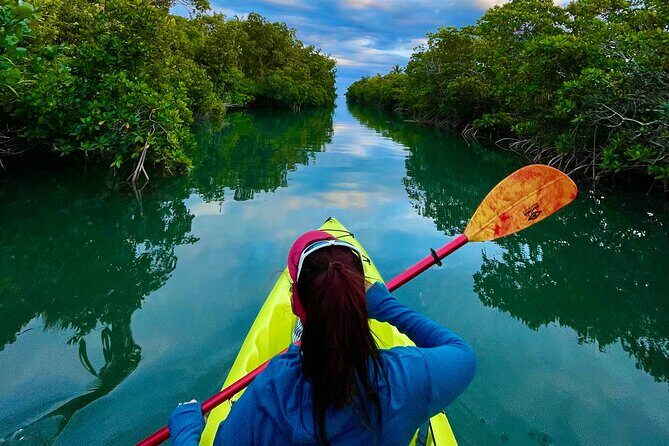 2 Hour Key West Kayak Rental  Discover Mangroves & Wildlife! - Why Choose a Self-Guided Kayak Rental in Key West?