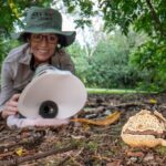 2-Hour Mushroom Photography Activity in Cairns Botanic Gardens - Who Will Love This Experience?