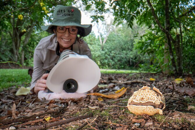 2-Hour Mushroom Photography Activity in Cairns Botanic Gardens - Who Will Love This Experience?