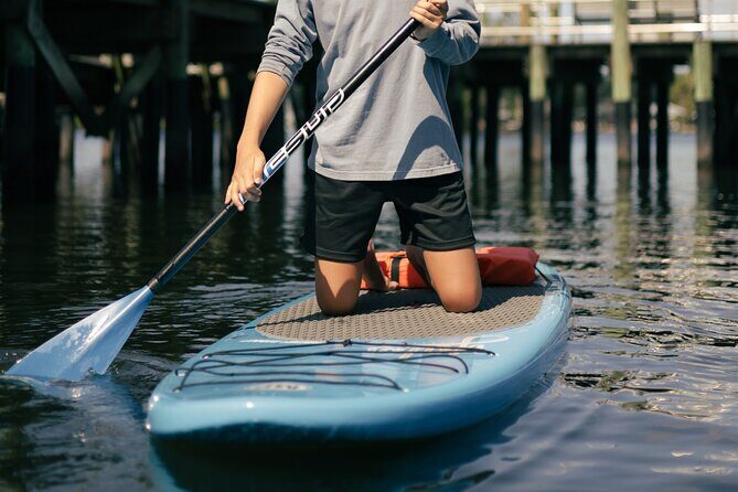2 Hour Paddle Board Rental - An In-Depth Look at the 2-Hour Paddle Board Experience in Crystal River