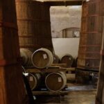 2-Hour Picnic among the Olive Trees with Typical Abruzzese Products - Authenticity and Overall Impression