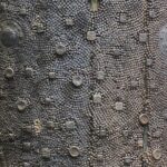 2 Hour Private Guided Walking Tour: Jewish Mainz - Final Thoughts