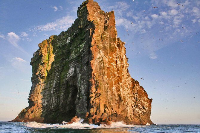 2 hour Round Trip in Vestmannaeyjar on a RIB Boat - Final Thoughts: Is It Worth It?