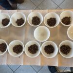 2-Hour Specialty Coffee tasting in Ljubljana - Who Should Consider This Tour?