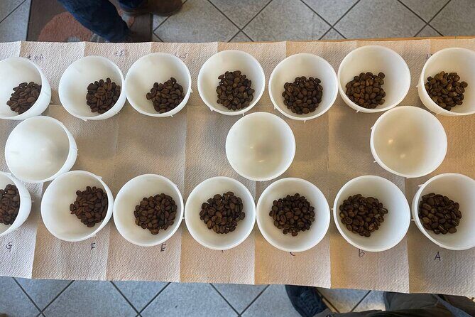 2-Hour Specialty Coffee tasting in Ljubljana - Who Should Consider This Tour?