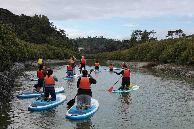 2-Hour Stand-Up Paddle Boarding Tour to Lucas Creek Waterfall - The Value of a SUP Tour in Albany