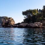 2 Hour Sunset Dolphin Watching Shared Tour in luxury boat - Why This Tour Stands Out: An In-Depth Look