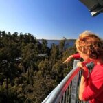 2-Hour Tower Zipline and Walkway Combo Private Guided Activity - Who Will Love This Tour?