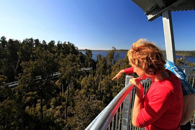 2-Hour Tower Zipline and Walkway Combo Private Guided Activity - Who Will Love This Tour?