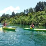 2-Hour Waikato River Guided Kayak Trip from Taupo - Who Should Consider This Tour?