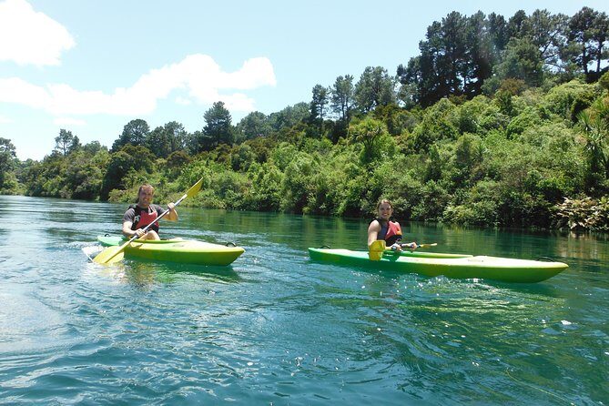 2-Hour Waikato River Guided Kayak Trip from Taupo - Who Should Consider This Tour?