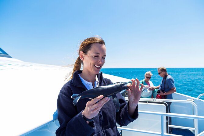 2 Hour Whale-Watching Cruise from Hillarys Boat Harbour - Frequently Asked Questions