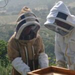 2 hours Beekeeping and Honey Tasting Activities in Assisi - FAQ