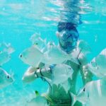 2 Hours Dolphin Kayaking & Snorkeling Tour on the Broadwater - FAQs