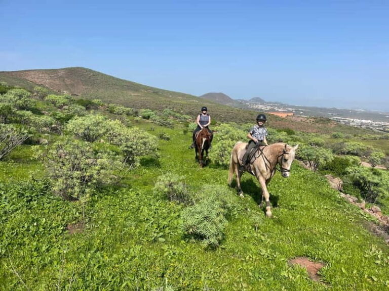 2 hours Green Mountains Horse Riding Tour - Who Will Love This Tour?