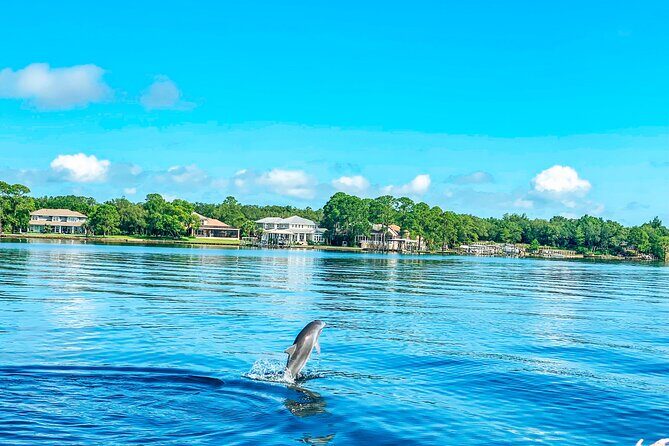 2 Hours Guided Dolphin Tour in Florida - Who Is This Tour Best Suited For?