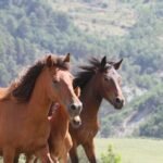 2-Hours Guided Drino's Valley Ride - Who Will Enjoy This Tour?