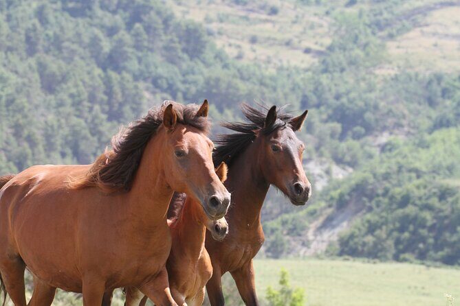 2-Hours Guided Drino's Valley Ride - Who Will Enjoy This Tour?
