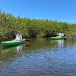 2 Hours Kayak Eco Tour in Tarpon Springs - What to Expect During the Tour